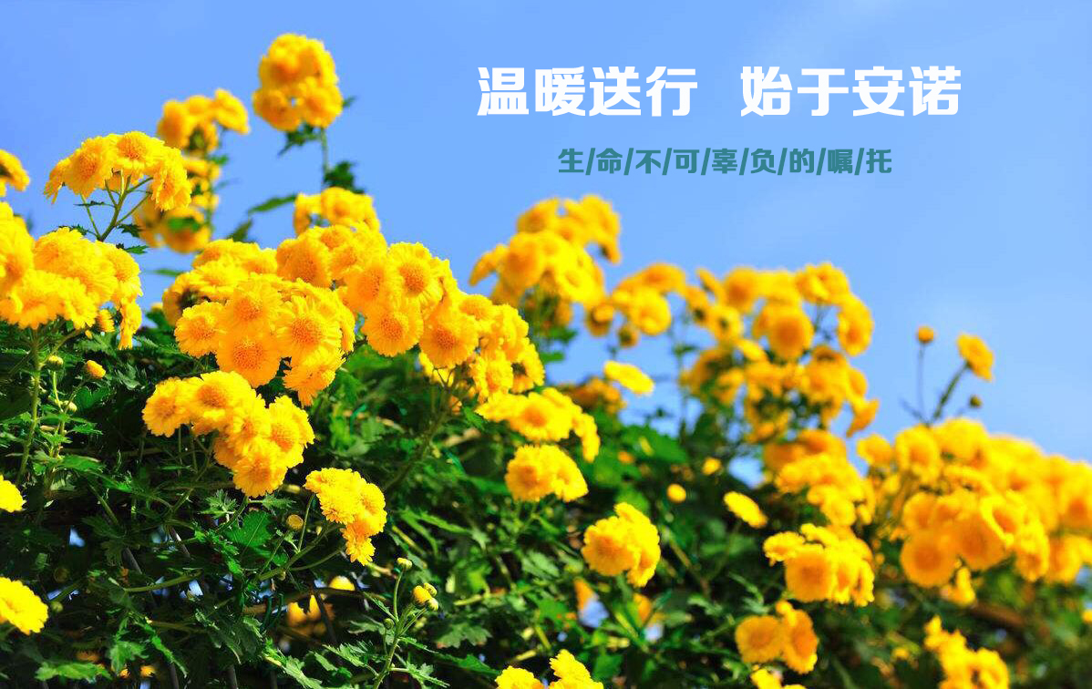 触屏版首页轮番图6